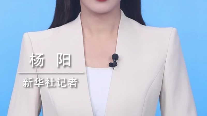 企业数字化工具，性价比高的关键考量**